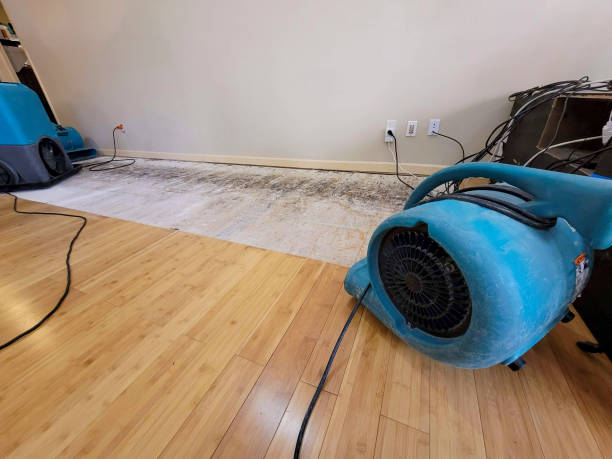 Professional Basement Flood Cleanup technician working in Helena, OH